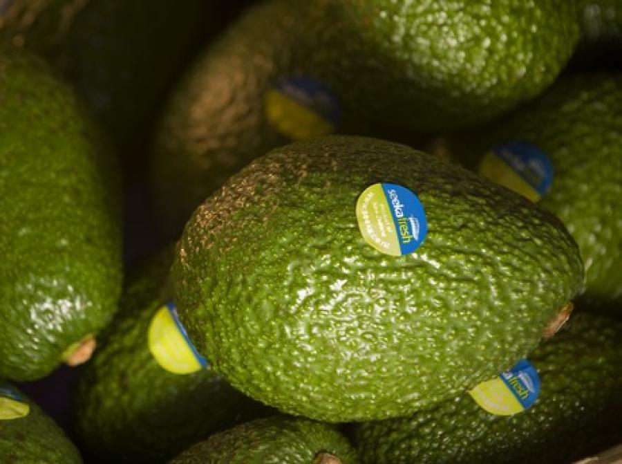 Avocado and kiwi crops escape major storm damage