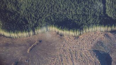 Urban Activist Middle Class Guilt Transfer is the Real Problem for Dairy Sector