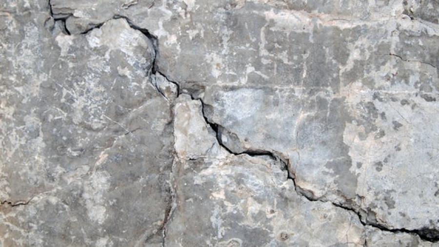 The concrete contains a fungus that produces calcium carbonate when exposed to water and oxygen