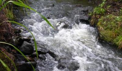 Clean Water reports released