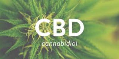 Government to ease restrictions on Cannabidiol