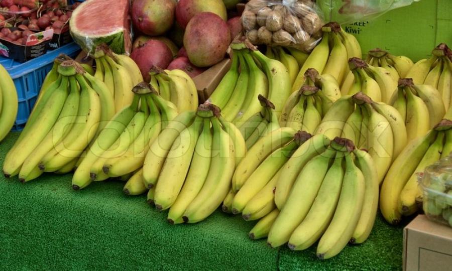 Gisborne to develop tropical fruit demonstration farm.
