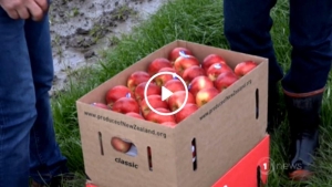 Good to see John Bostock on the