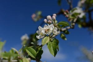 Warm spring days have meant a gr