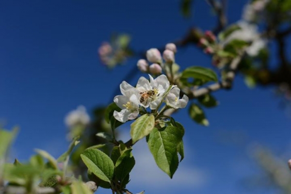 Warm spring days have meant a gr