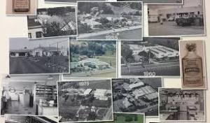 Harry Hart builds new food group with Hubbards, Hansells &amp; Gregg&#039;s unit