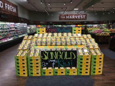 Successful first year of Zespri SunGold kiwifruit