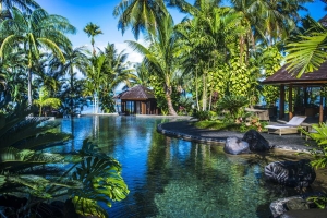 ON SALE to 7 August 2017 only! 5