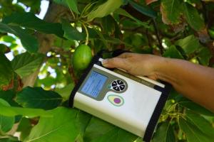 Felix Insttruments have developed an instrument to measure the ripeness of avocados