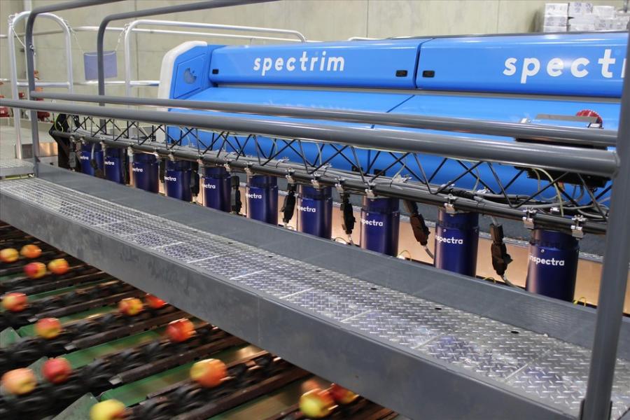 High-tech and fruit sorting
