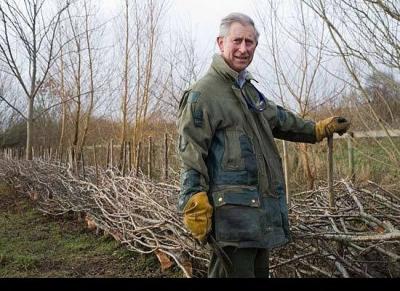 Prince Charles Has Uncanny Ability to Identify Issues, Trends Before They Go Mainstream