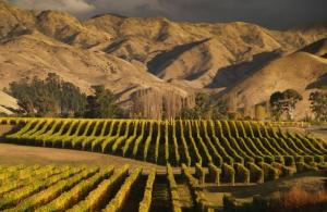 The Headlines For Wednesday