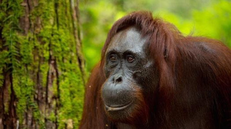 It&amp;#039;s Travel O&amp;#039;Clock 6-8-17 / Mon