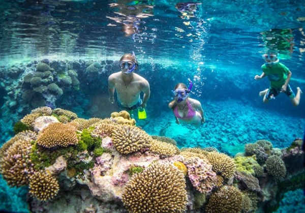 Planning to visit Nuie? Read som