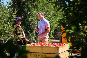 BOSTOCK New Zealand offers attra