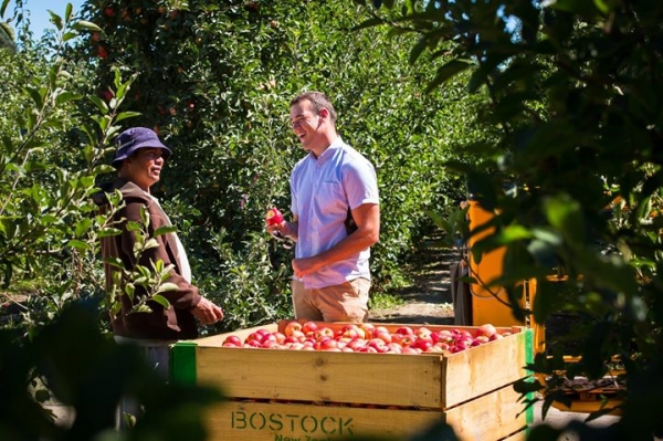 BOSTOCK New Zealand offers attra