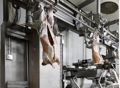 PrimeCutter Dannevirke