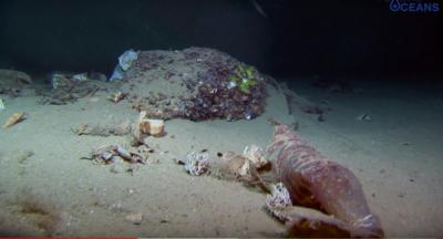 Short Documentary Series on Plastic Waste in the Oceans