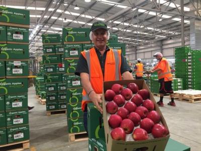 John Bostock, Owner of Bostock New Zealand with organic Dazzle apples