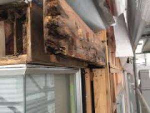 Politicians Disrupt House Builders at whim of Non-Productive Activists