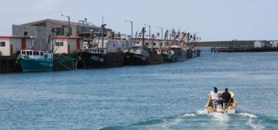 Oyster boats at Bluff&#039;s South Port.