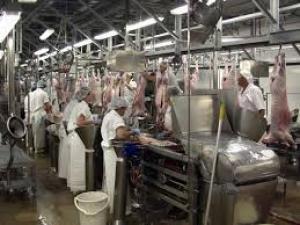 Meat co-ops search for winning formula