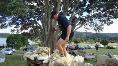 New youth opportunities in agriculture sector