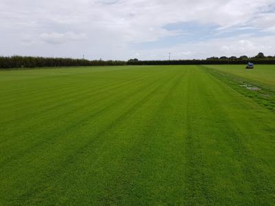 McLean Park returf ready to roll