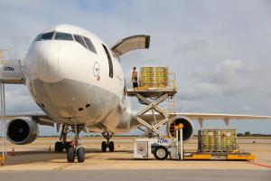 More cargo planes herald the key export season for South Island