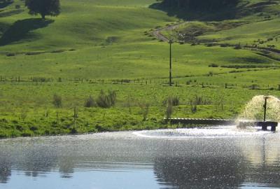 50-Year plan needed for farming confidence