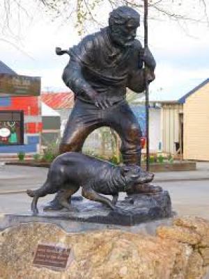 New Zealand Graziers Confront Rustling as Organised Crime