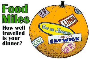 Y2K, Food Miles, Peak Oil—The Global Scares that Flopped