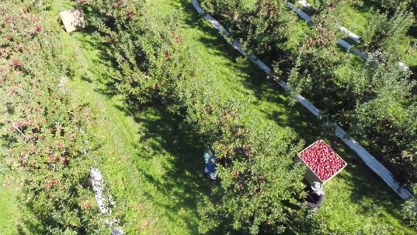 The Fruit Production Course is a