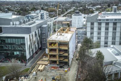 New Beatrice Tinsley building uses innovative NZ timber tech