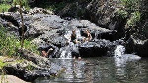 Are you a nature lover? Would yo