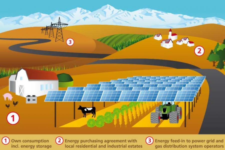 Agrophotovoltaics: Solar Farms that Produce Food and Electricity