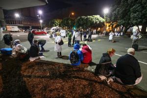 Remote Working Needed to Counter Seismic Vulnerability of Wellington Parliamentary Precinct