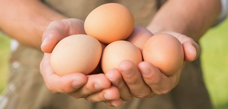 Nestlé to source only cage-free eggs by 2025