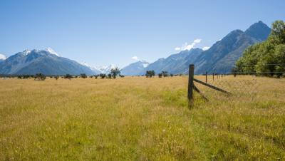 Robotics revolution set to shake up New Zealand&#039;s primary industries