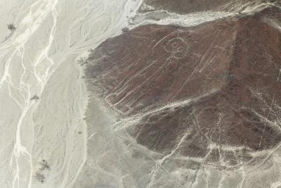 Nazca line of ‘The Astronaut’ |