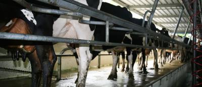 India&#039;s &quot;sensitive&quot; dairy sector is one of the impediments to a bilateral free trade agreement with New Zealand.