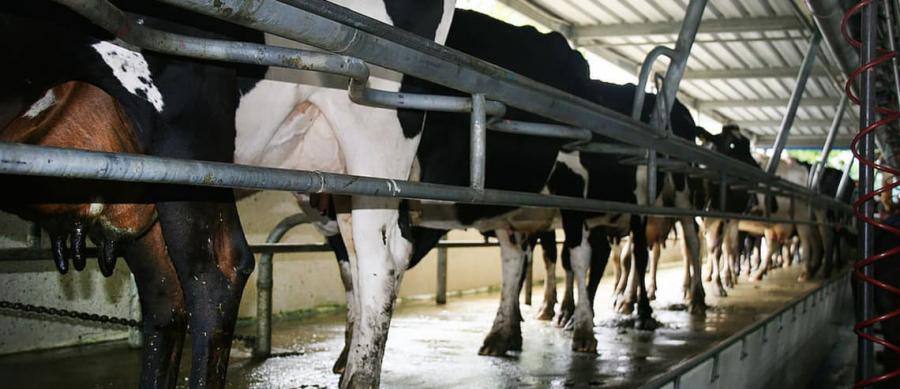   India&#039;s &quot;sensitive&quot; dairy sector is one of the impediments to a bilateral free trade agreement with New Zealand. 