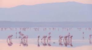 Sustainable travel platform is reinventing tourism