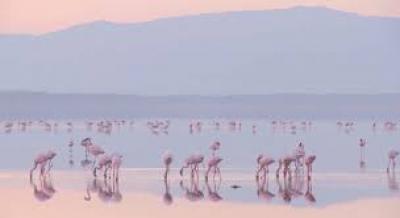 Sustainable travel platform is reinventing tourism