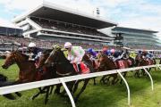 Melbourne Cup - 8 Day Phar Lap Tour