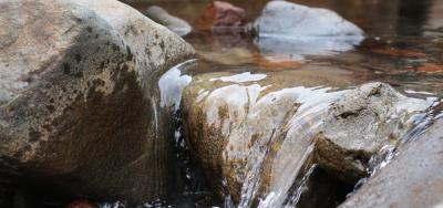 The issue of freshwater management is bubbling away under the surface for the Labour-led government.