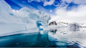 Mondo Deals of the Week!