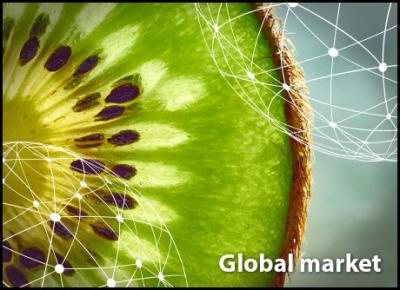 Overview global kiwifruit market