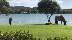 Winston Peters House of Lords Destination Charted