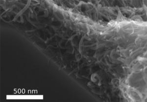 New composite material made of carbon nanotubes